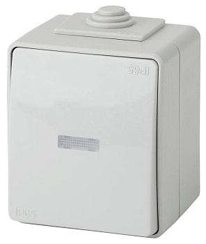 Выключатель 1-кл. ОП Эксперт 10А IP65 11-1602-03 250В 10AX с подсветкой сер. Б0035974