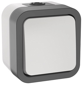 Выключатель 1-кл. ОП TORS 2п 10А IP55 TS211 бел. TS-V16-0-10-55-K41