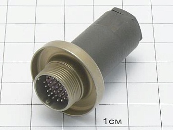 Вилка СНЦ13-30/14В-2-а-В "5"