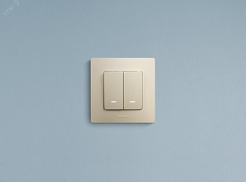 Выключатель 2-кл. СП Etika 10А IP20 250В 10AX с подсветкой/индикацией безвинтов. зажимы механизм сл. кость Leg 672304