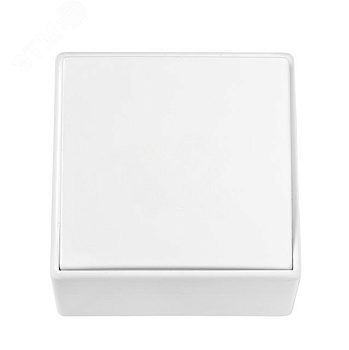 Беларусь Выключатель одноклавишный наружный Выключатель ВА 1