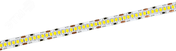 Лента светодиодная 5м SMD2835 240LED/м 22Вт/м IP20 ширина 10мм 24В холодный белый IEK LSR6-2-240-20-1-05