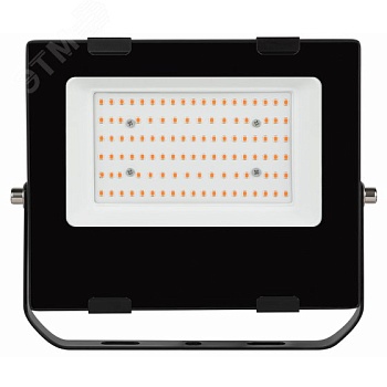 Фитопрожектор для растений светодиодный FITO-100W-RB-LED для цветения и плодоношения красно-синего спектра 100 Вт Б0046369