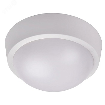 Светильник светодиодный влагозащищенный ДСП-18Вт 4000К IP65 5017238