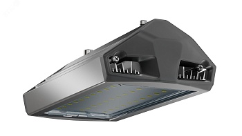 Светильник уличный ЕСАУЛ ДКУ-50 750 ШБ УТ000020649