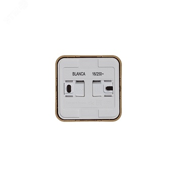 Розетка 1-м ОП Blanca 16А IP20 250В с заземл. защ. шторки с изолир. пластиной ясень SE BLNRA011115