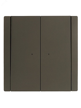 FORTE&PIANO Выключатель 2-клавишный проходной с индикацией 10А FP308 серый IEK FP-V22-1-10-1-K03