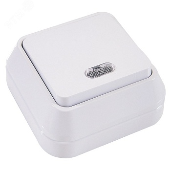 Выключатель 1-кл. ОП 10А IP20 с подсветкой бел. 45121