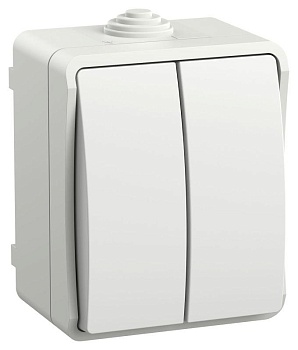 FORS Выключатель 2-клавишный для открытой установки 10А IP54 ВС20-2-0-ФБ белый EVS20-K01-10-54-DC