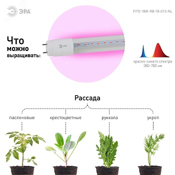 Лампа светодиодная FITO-18W-RB-Т8-G13-NL 18Вт T8 линейная 96LED 2835 IP20 35000ч для растений/для подсветки мясных витрин красн./син. спектр стекло Б0042990