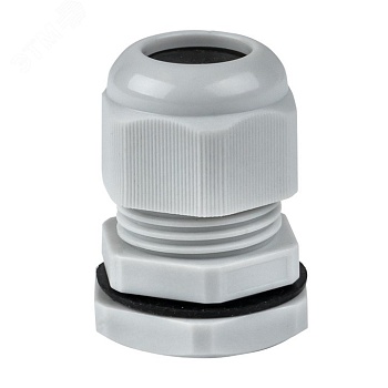 Сальник PG19 IP54 plc-pg-19