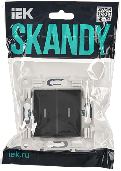 SKANDY Выключатель 2-клавишный проходной с индикацией 10А SK-V10T титан IEK SK-V22-1-10-K48