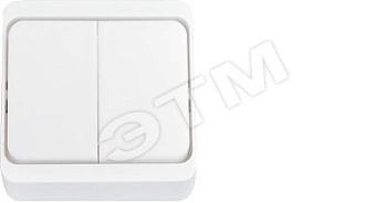 Выключатель двухклавишный наружный Выключатель А5 4-001