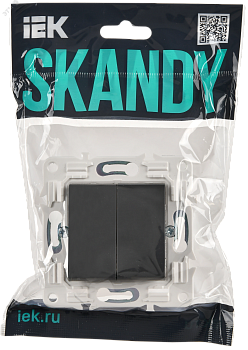 SKANDY Выключатель 2-клавишный проходной 10А SK-V05T титан IEK SK-V22-0-10-K48